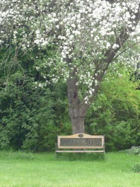 Bank unter Apfelbaum